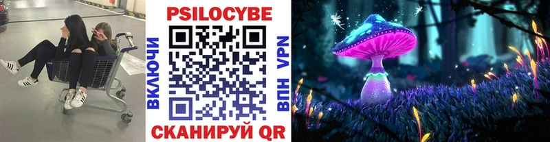 Псилоцибиновые грибы MAGIC MUSHROOMS  наркотики  Тамбов 
